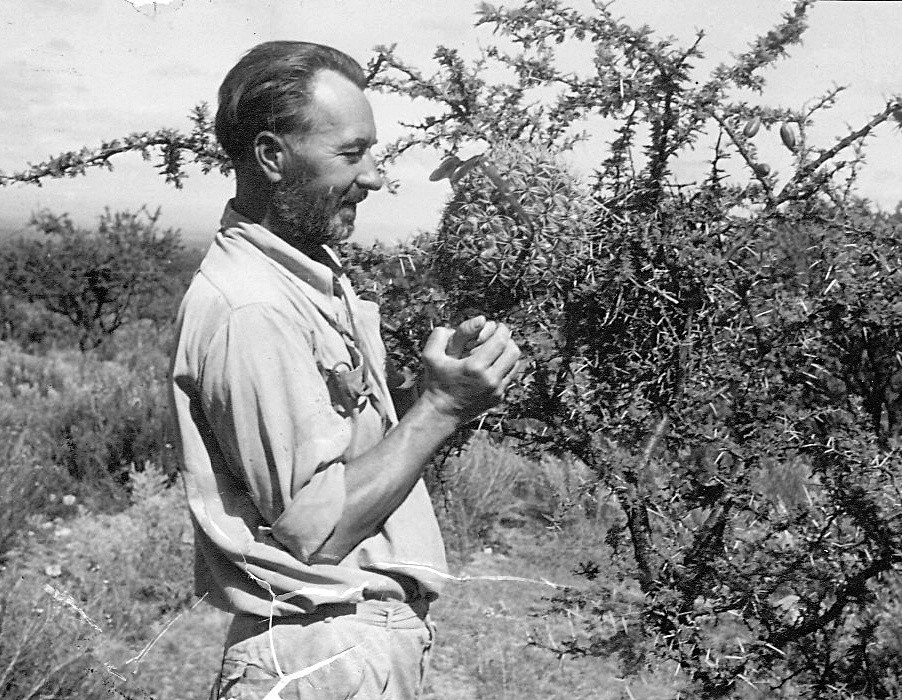 Hans Stößlein